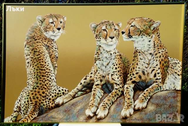 Гепарди Anderson,картина оригинал маслени бои 153 х 103 см. →
Обява 30495189 Гепарди Anderson,картина оригинал маслени бои 153 х 103 см. →
Обява 30495189