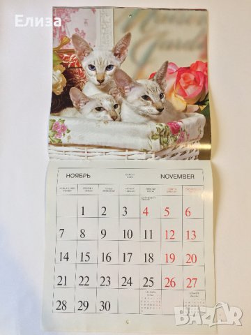 Стенен календар 2011 Котки, снимка 15 - Други - 38776717