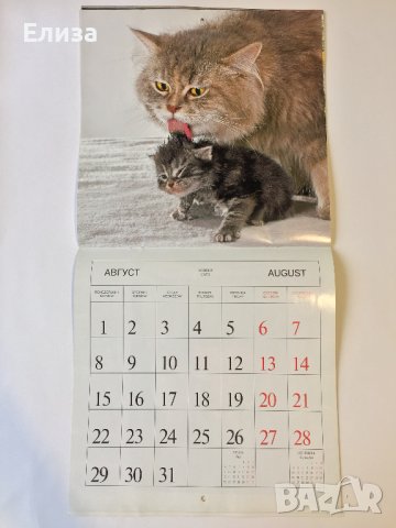 Стенен календар 2011 Котки, снимка 12 - Други - 38776717