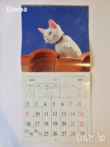 Стенен календар 2011 Котки, снимка 9 - Други - 38776717