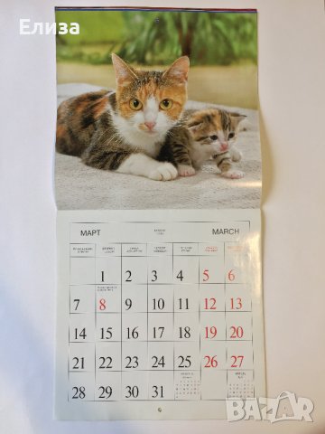 Стенен календар 2011 Котки, снимка 7 - Други - 38776717
