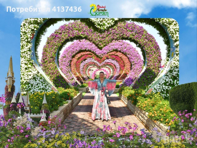 Екскурзодни услуги ОАЕ →
		Обява 53044207