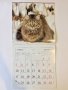 Стенен календар 2011 Котки, снимка 5