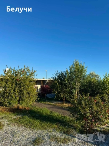 Бунгало на брега на морето
                
                Извън страната
                вчера
                                    180 лв 
                    92,03 € Бунгало на брега на морето
                
                Извън страната
                вчера
                                    180 лв 
                    92,03 €