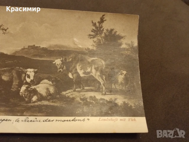 Ретро Пощенска Картичка.
                

                гр. Търговище, Изток 1
                вчера

                                                            100 лв 
                        51,13 €