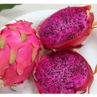 200 семена 4 ароматни екзотични вида питая редки драконови плодове от кактус, снимка 7 - Сортови семена и луковици - 21024645