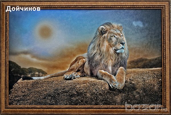 Лъв, картина, снимка 1 - Картини - 20960888