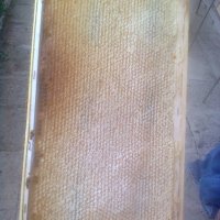 Пчелни пластмасови полуизградени основи, снимка 3 - Други стоки за животни - 19012845