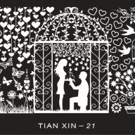 влюбени среща плочка / щампа шаблон за печат на нокти - Нова TIAN XIN - 21, снимка 1 - Продукти за маникюр - 15975147