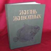 1983 год. Книга за животните и рибите Русия, снимка 1 - Други - 24608150