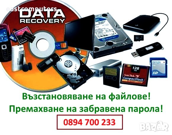 Професионално възстановяване на файлове и данни от различни носители на информация, снимка 1