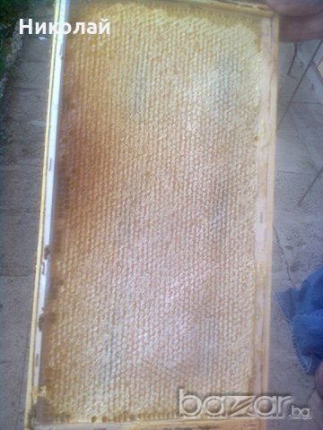 Пчелни пластмасови полуизградени основи, снимка 3 - Други стоки за животни - 19012845