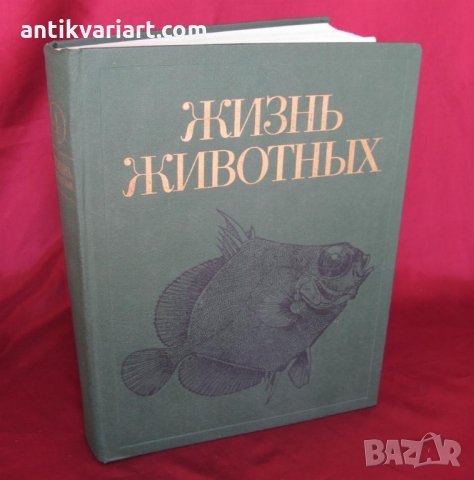 1983 год. Книга за животните и рибите Русия