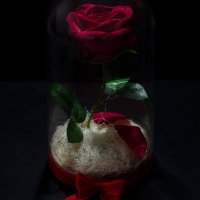 Вечна роза в голяма стъкленица - Стилен подарък за рожден ден на жена / Уникален подарък за юбилей, снимка 8 - Декорация за дома - 19454247