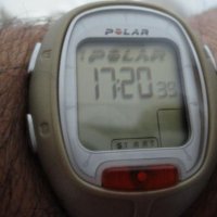 Polar RS100 Heart Rate Monitor Watch , снимка 10 - Други - 24094468