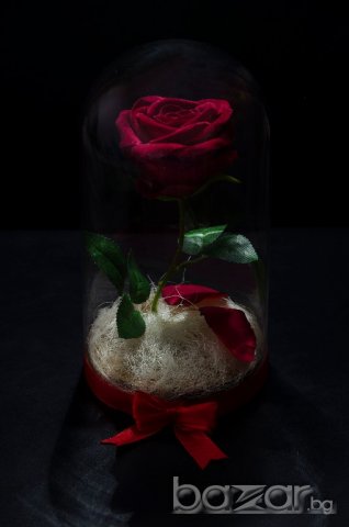 Вечна роза в голяма стъкленица - Уникален и стилен подарък, снимка 7