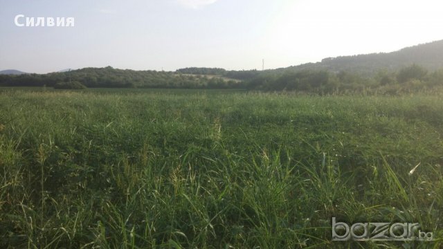 Атрактивен имот до езеро за 25000Е, снимка 3 - Парцели - 11334192