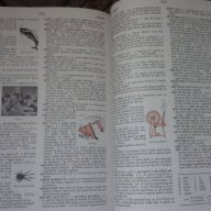 Продавам английски речник - HBJ School Dictionary Third Edition, снимка 3 - Чуждоезиково обучение, речници - 15777634