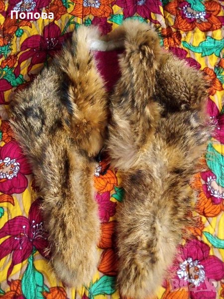 Лисица огромна яка, снимка 1