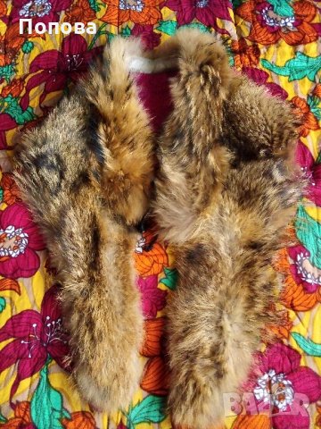 Лисица огромна яка