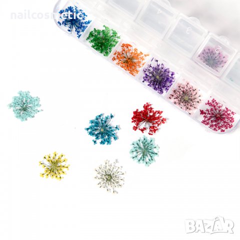Комплект микс сухи цветя за маникюр, снимка 4 - Продукти за маникюр - 23534540