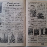 СПИСАНИЕ ЗА БИЛКИ И МАГИИ, снимка 10 - Списания и комикси - 19114068