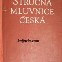 Stručná mluvnice česká , снимка 1 - Други - 24420547