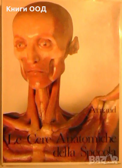 Le Cere Anatomiche della Specola, снимка 1