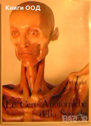 Le Cere Anatomiche della Specola, снимка 1