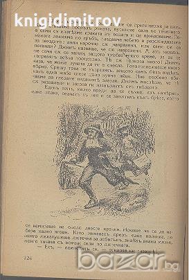 Приключенията на Хъкъ Финъ, първиятъ приятель на Томъ Сойеръ.  Марк Твен, снимка 3 - Художествена литература - 18405277