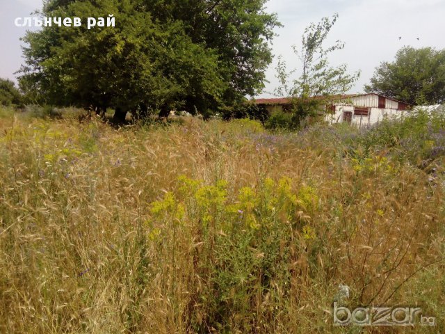 продава парцел в к.к.Слънчев бряг, снимка 10 - Парцели - 15026787