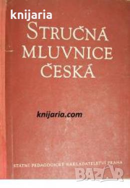 Stručná mluvnice česká 