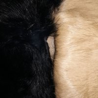 Яки и шалове естествена кожа от заек, снимка 6 - Шапки - 23864048