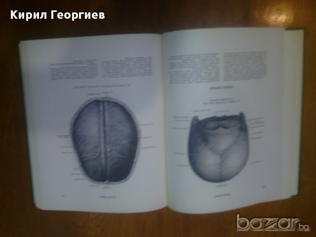 Атлас анатомии человека. Том 1,2,3, снимка 2 - Специализирана литература - 15942385