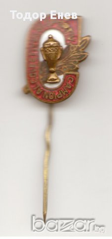 Значка-Campional Colectivului Sportiv, снимка 1