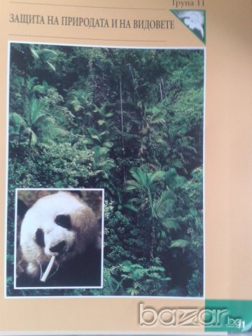 Енциклопедия Чудния свят на животните., снимка 12 - Колекции - 7575824