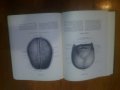 Атлас анатомии человека. Том 1,2,3, снимка 2