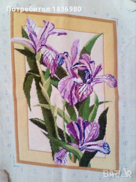 Пано с ириси, снимка 1