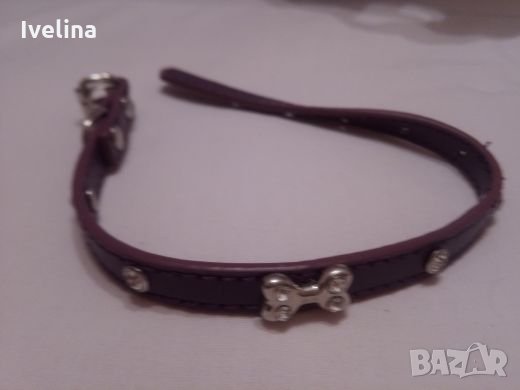 Нашийник за куче/коте, снимка 4 - За кучета - 22867940