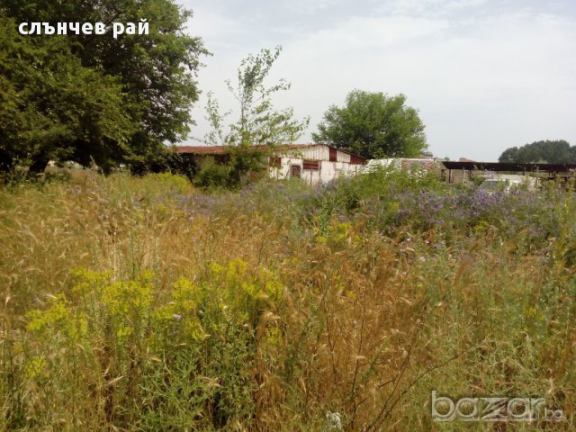 продава парцел в к.к.Слънчев бряг, снимка 11 - Парцели - 15026787