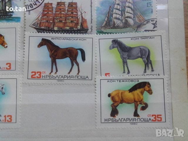 Колекция стари марки, снимка 3 - Филателия - 21799973