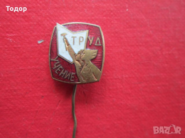 Стара значка знак Труд Учение бронз емайл , снимка 5 - Колекции - 25471538