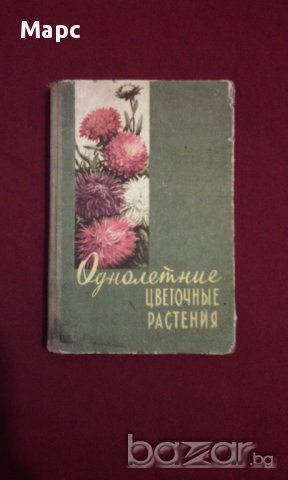 Однолетние цветочные растения