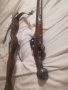 Ловна стара пушка двуцевка с външни удърници и декорации - реплика!, снимка 15
