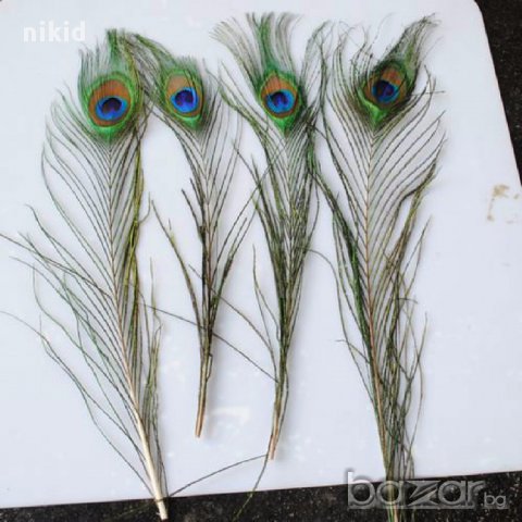 10 бр паунови пера паун перо декорация украса изкуствени цветя, снимка 2 - Декорация за дома - 15388882