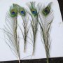 10 бр паунови пера паун перо декорация украса изкуствени цветя, снимка 2