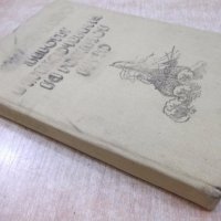 Книга "Животът и прикл.на Робинзон Крузо-Даниел Дефо"-288стр, снимка 7 - Художествена литература - 19344173