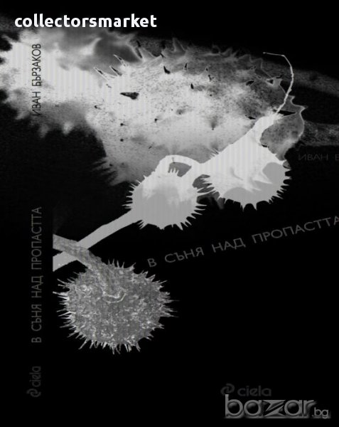 В съня над пропастта , снимка 1