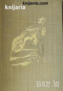 Звезда Зорница: Лирична антология за жената 