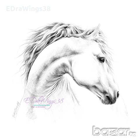 Картичка "Кон II" /отпечатана от моя оригинална графика/, снимка 7 - Други - 19677536